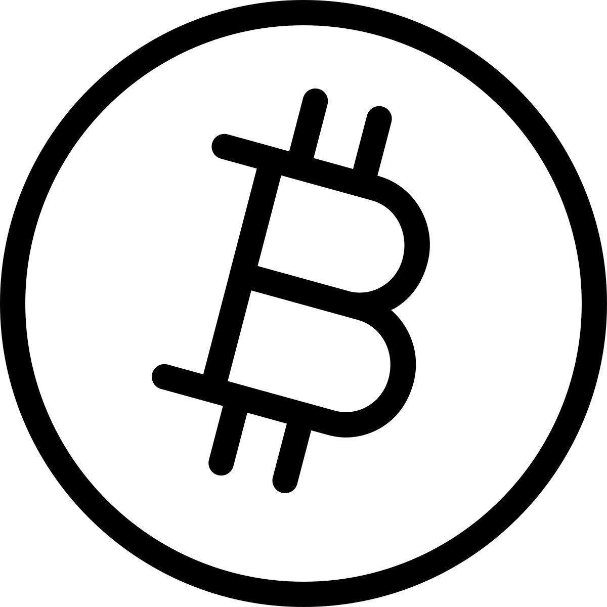 bitcoin icon