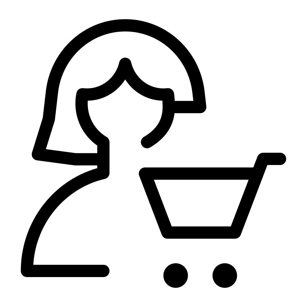 panier d'achat de l'utilisateur icon