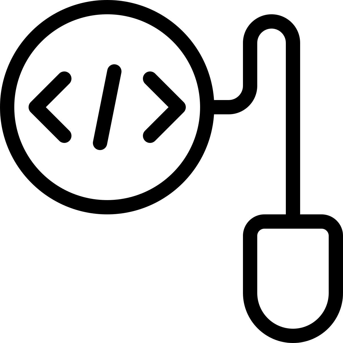 entrée de codage icon