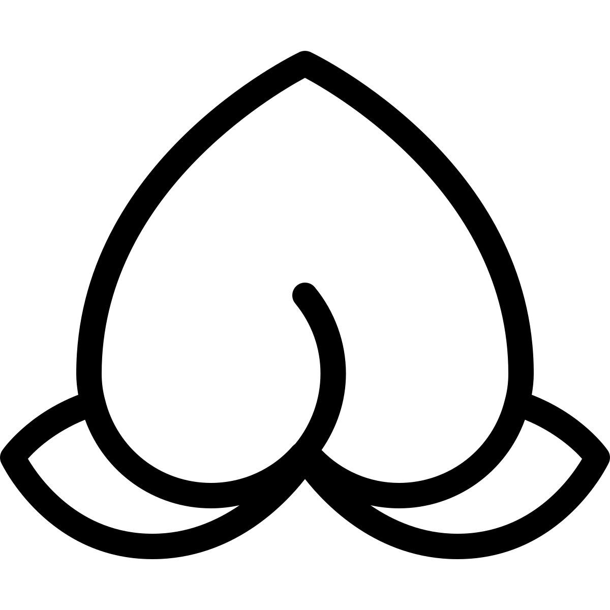 장수 복숭아 icon