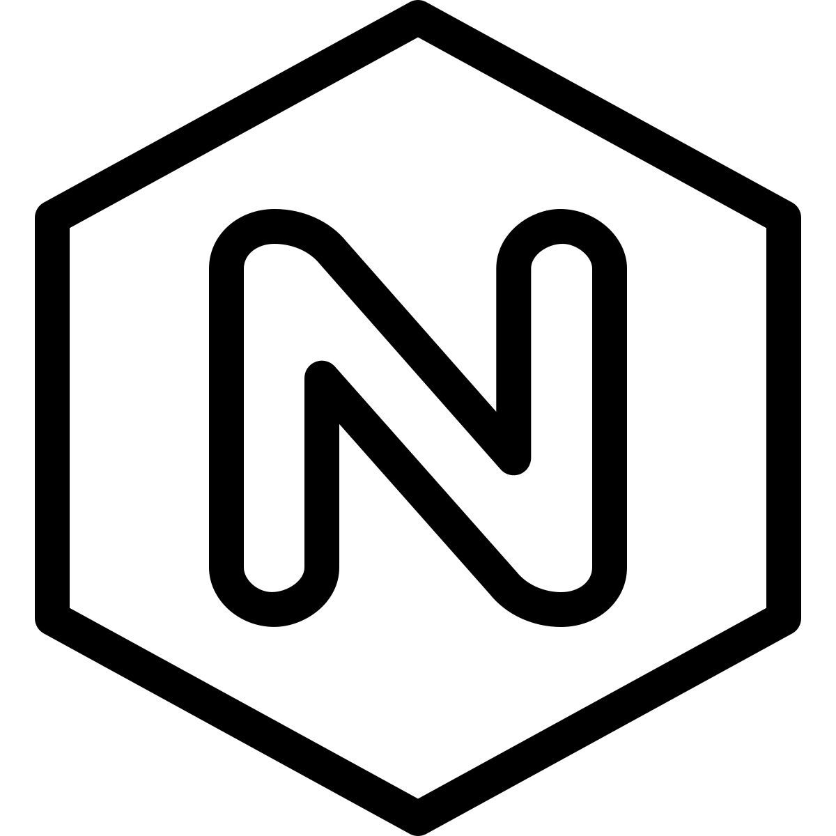 nginx icon