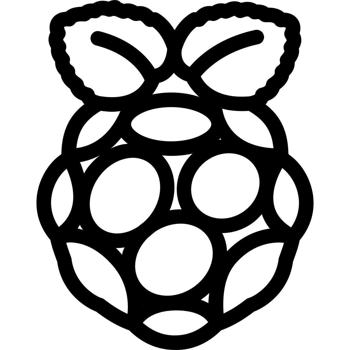 raspberry pi icon