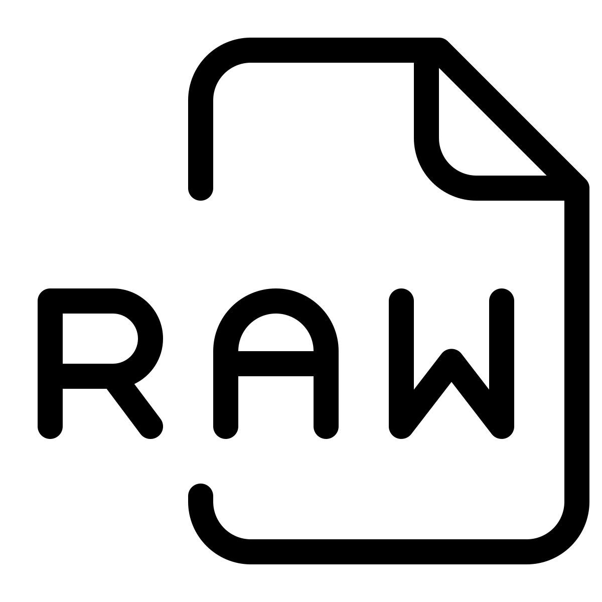 raw file icon