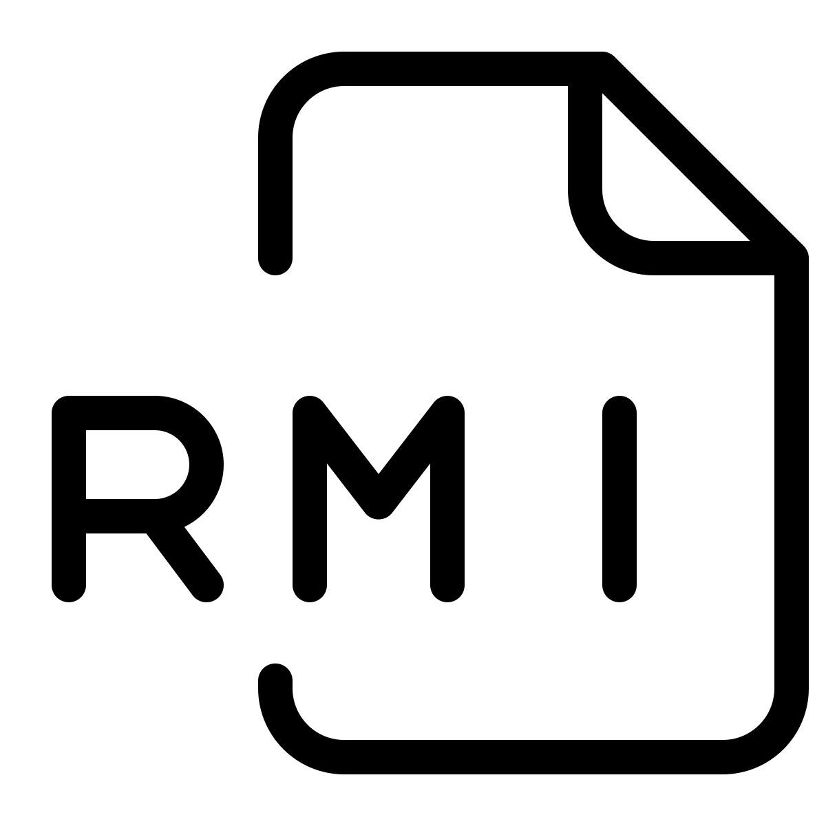 rmi file icon