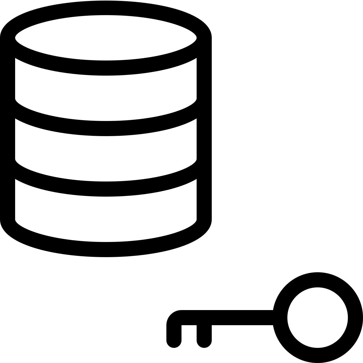 database authentication key icon