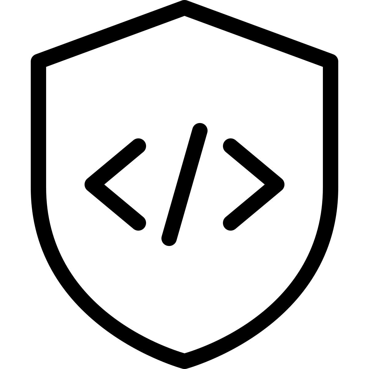 secure programming icon