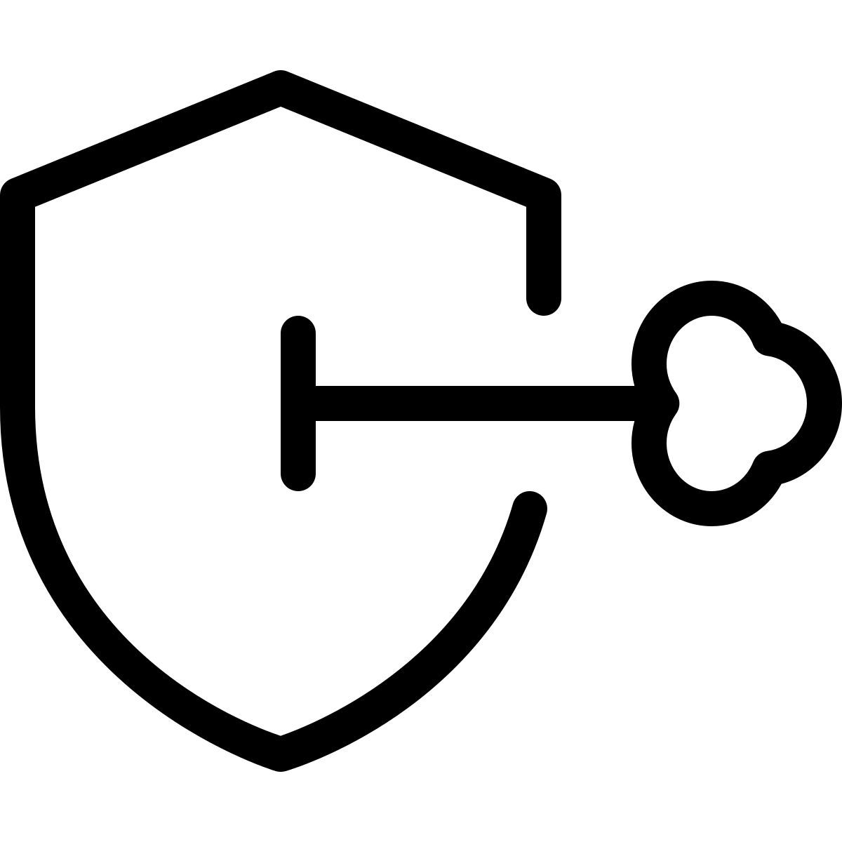 insurance key icon