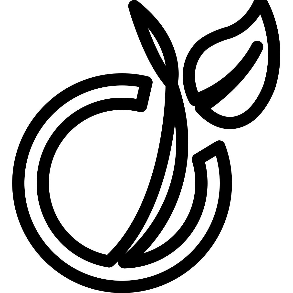 виадео icon