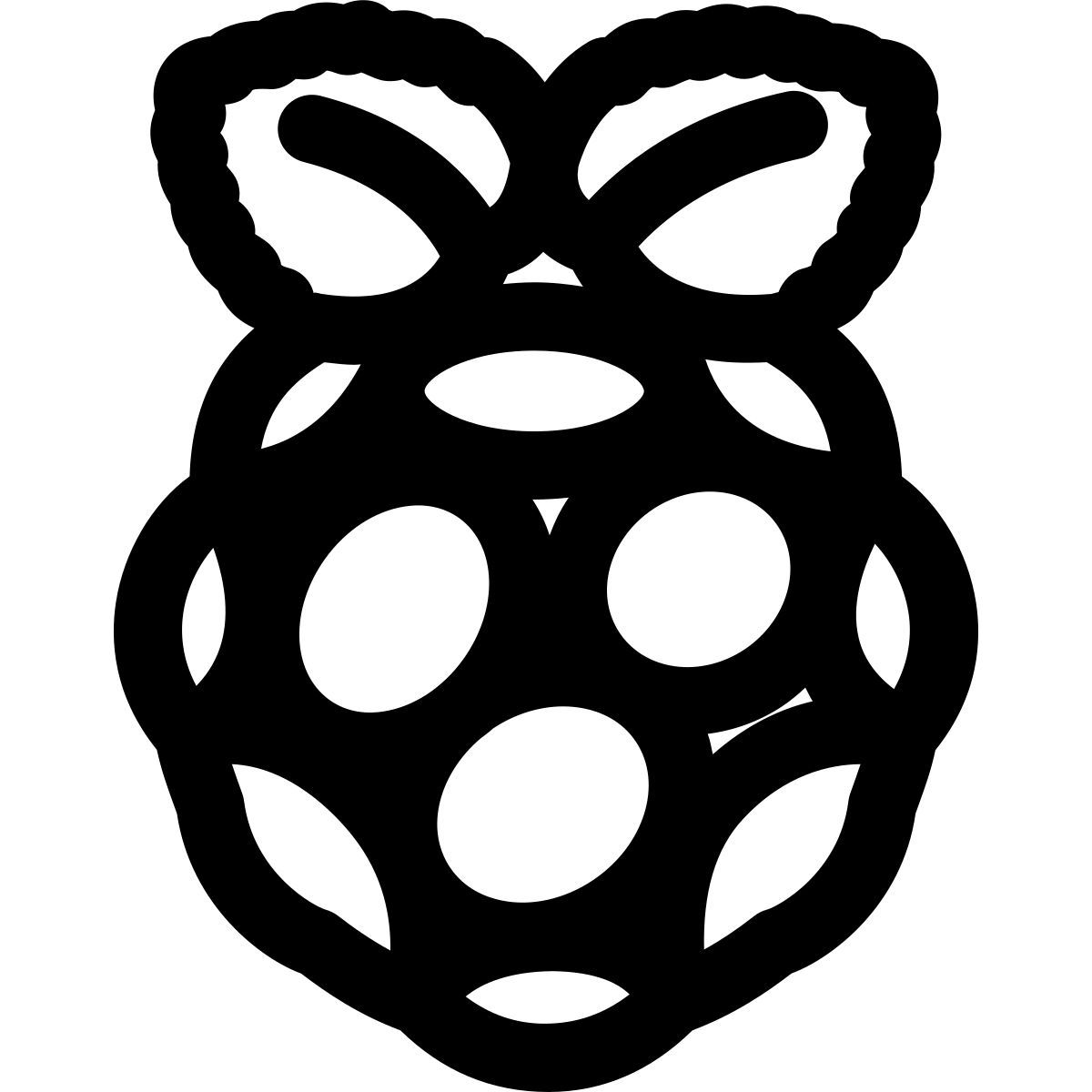 raspberry pi icon