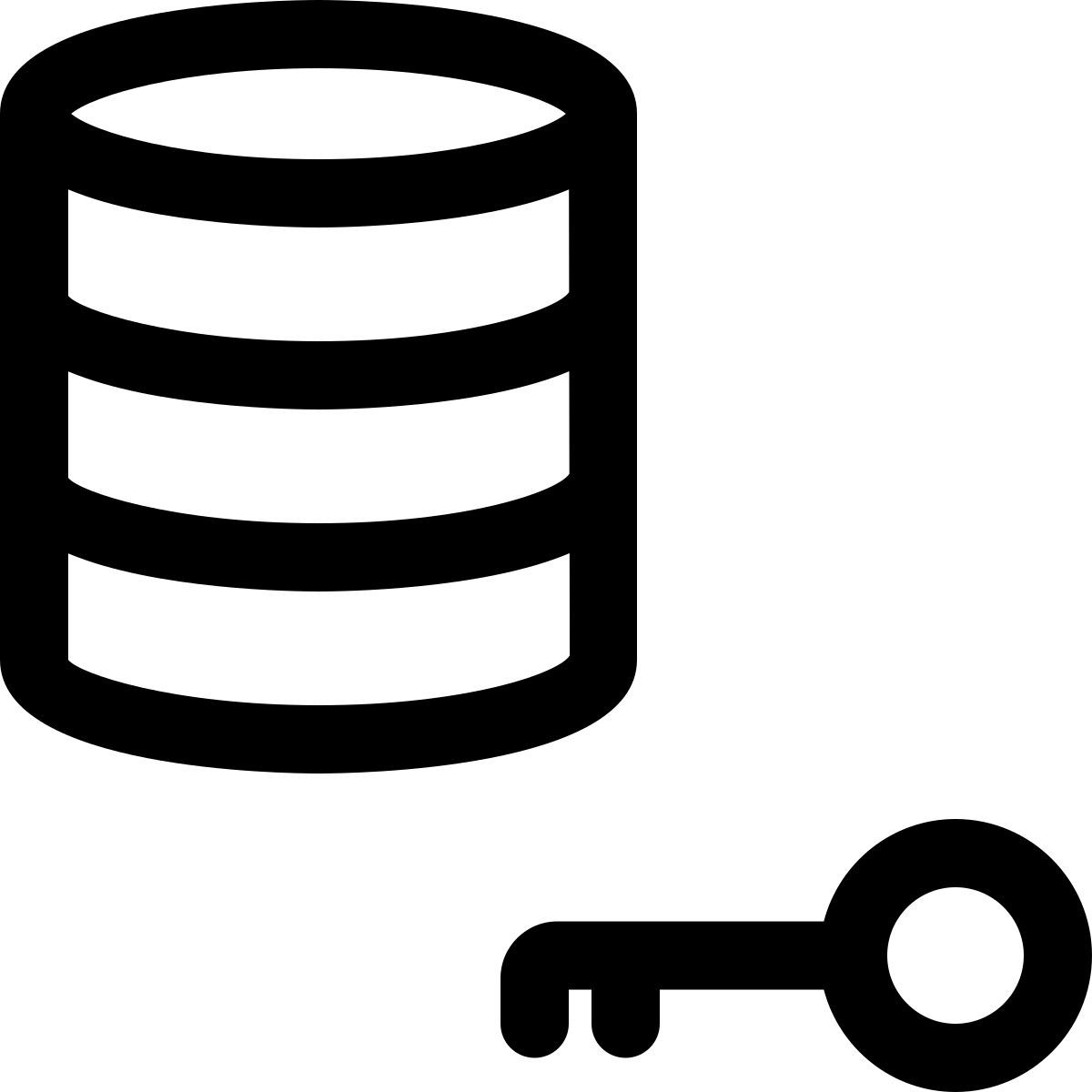 database authentication key icon