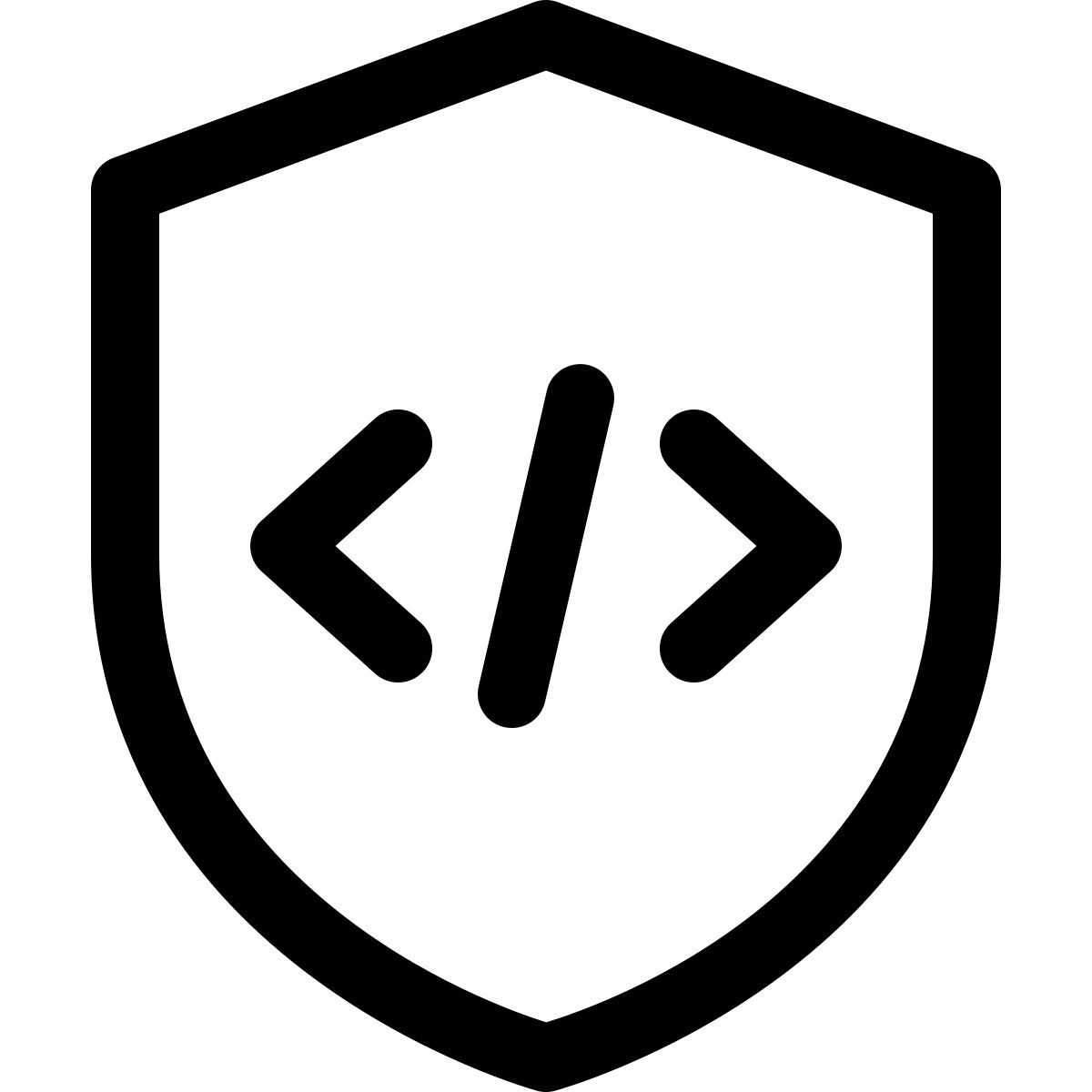 secure programming icon