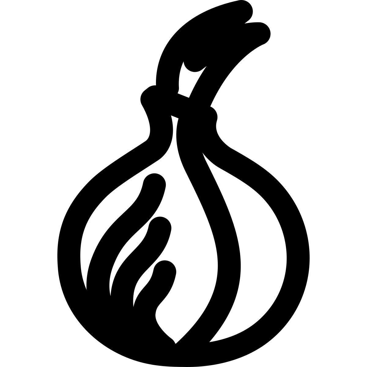 tor icon