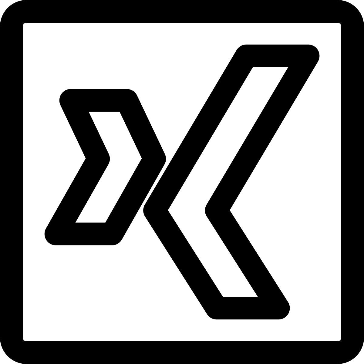 xing icon