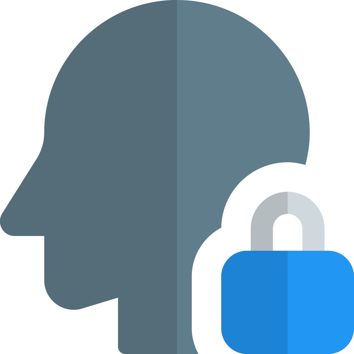 admin lock icon