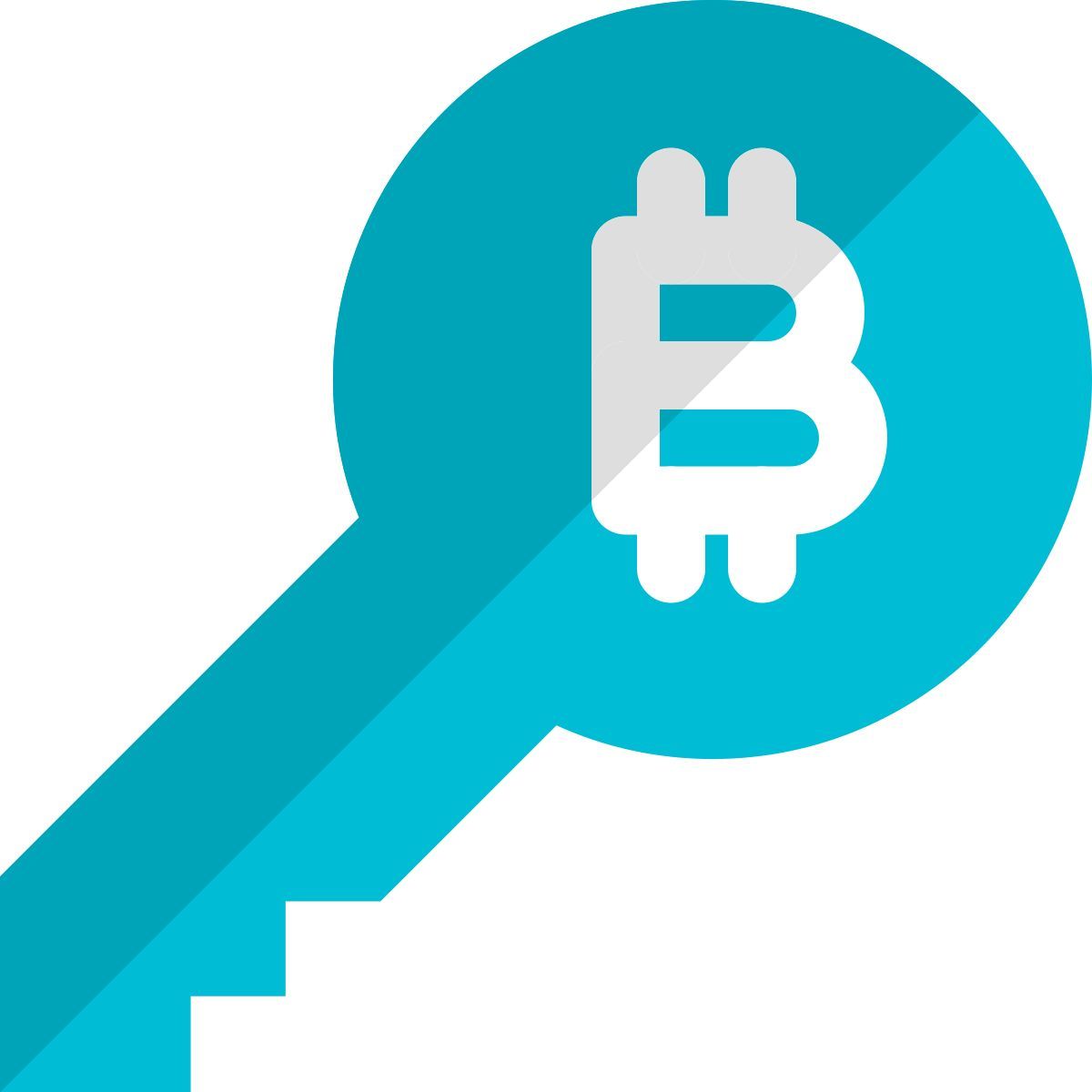 bitcoin key icon