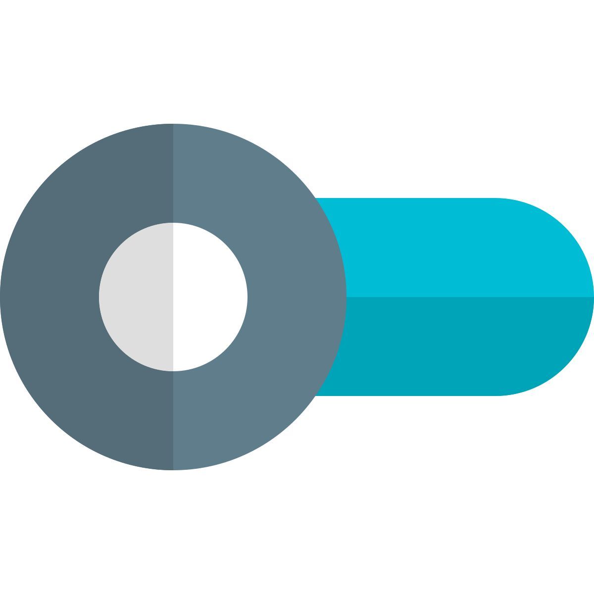 Désactiver la bascule icon