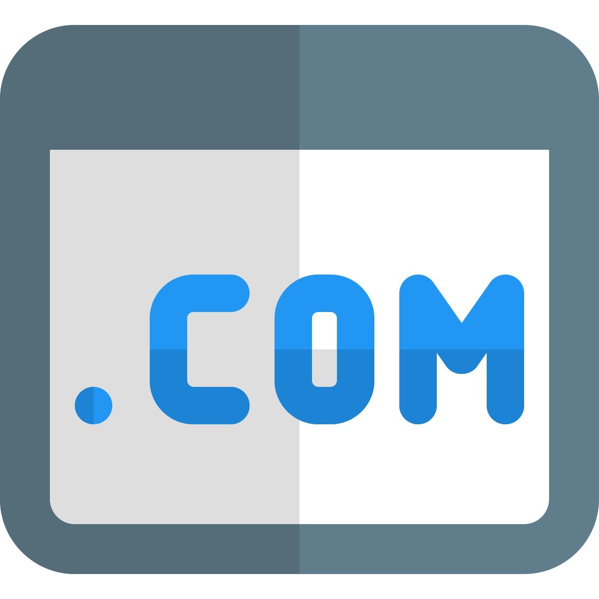 .com 域名 icon