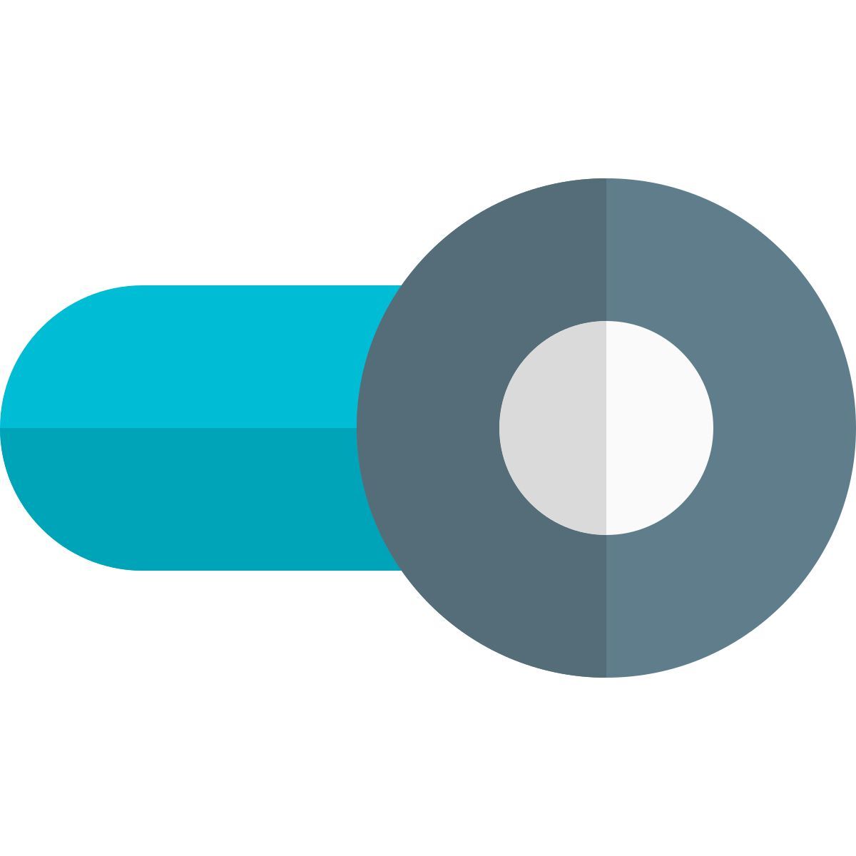 enable toggle icon