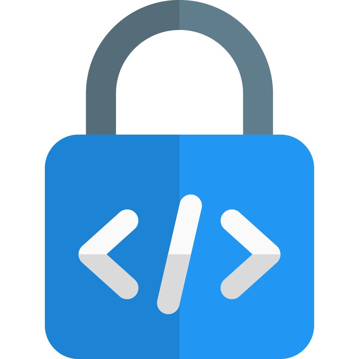 secure programming icon