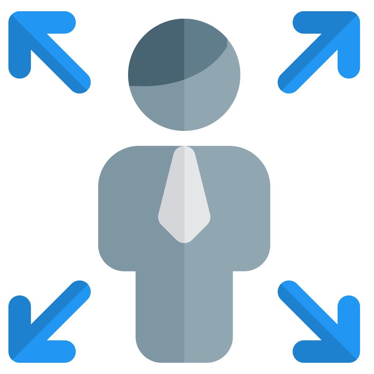 enlarge function of user handling computer layout icon