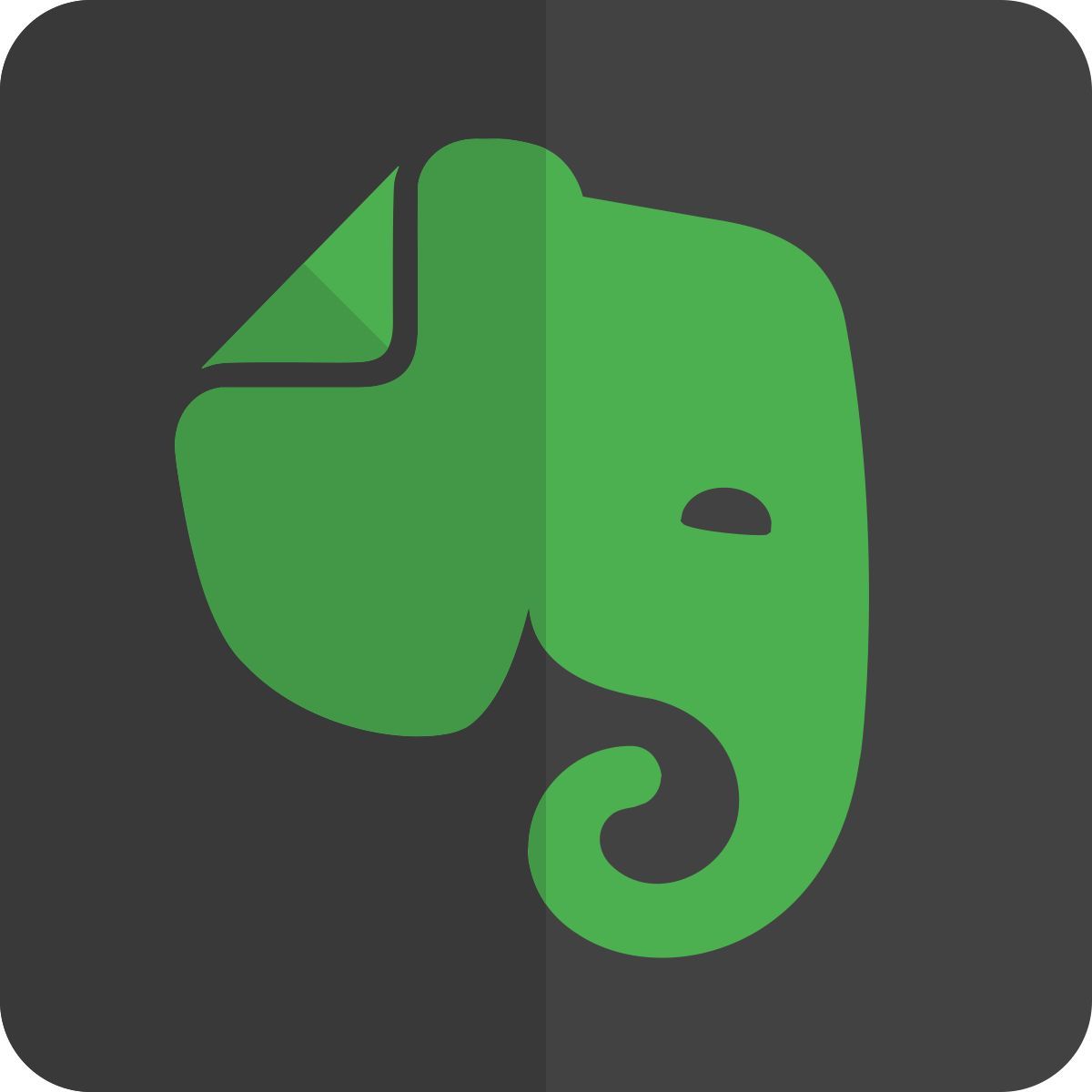 印象笔记 icon