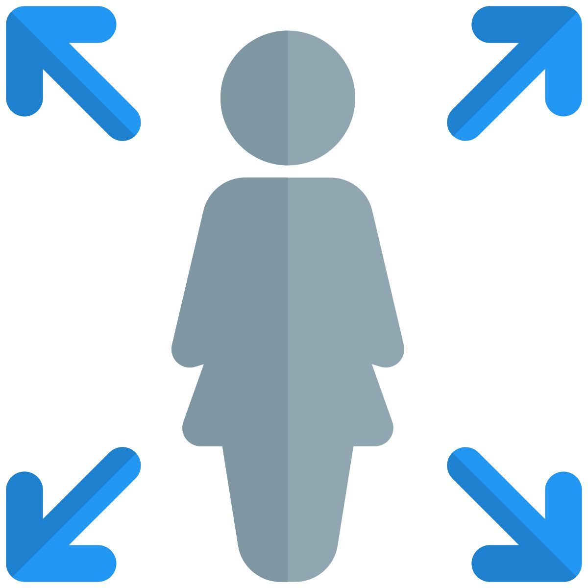 scelta icon