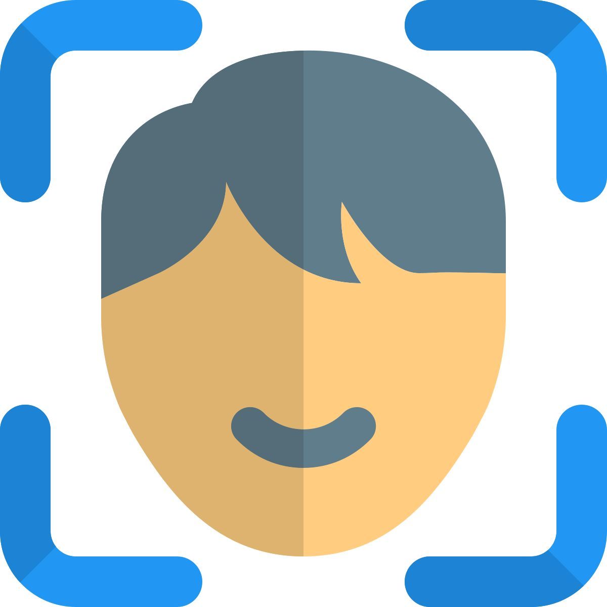 数字便携式设备上的面部扫描功能 icon