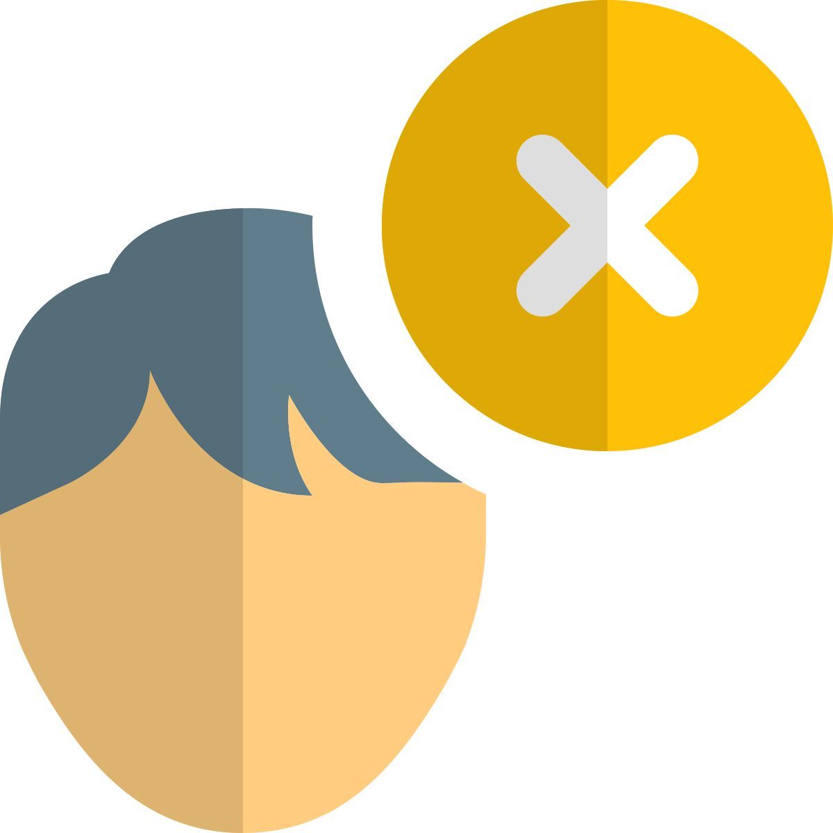 denied access icon