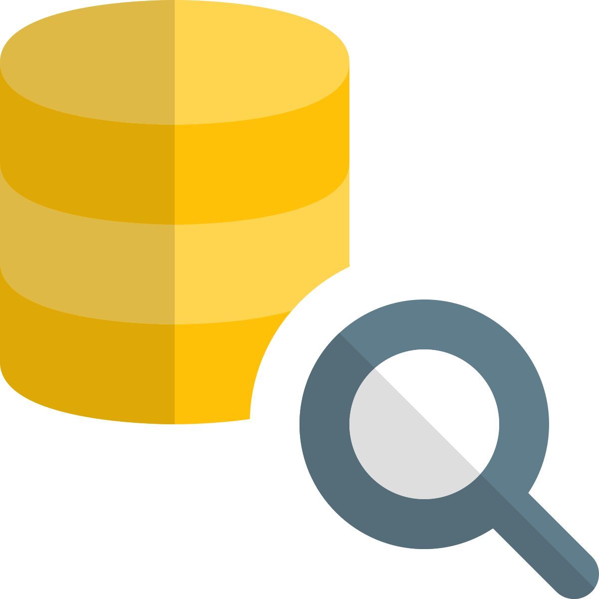 Búsqueda en la base de datos icon