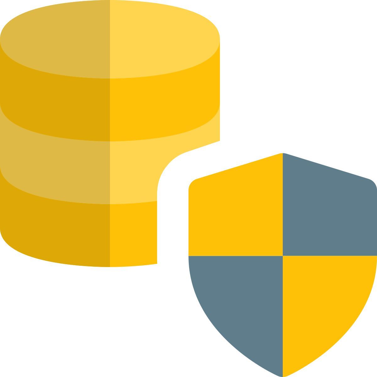 Seguridad de la base de datos icon