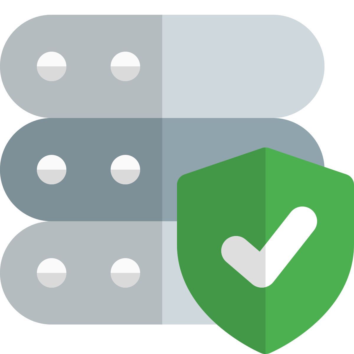 protected server icon