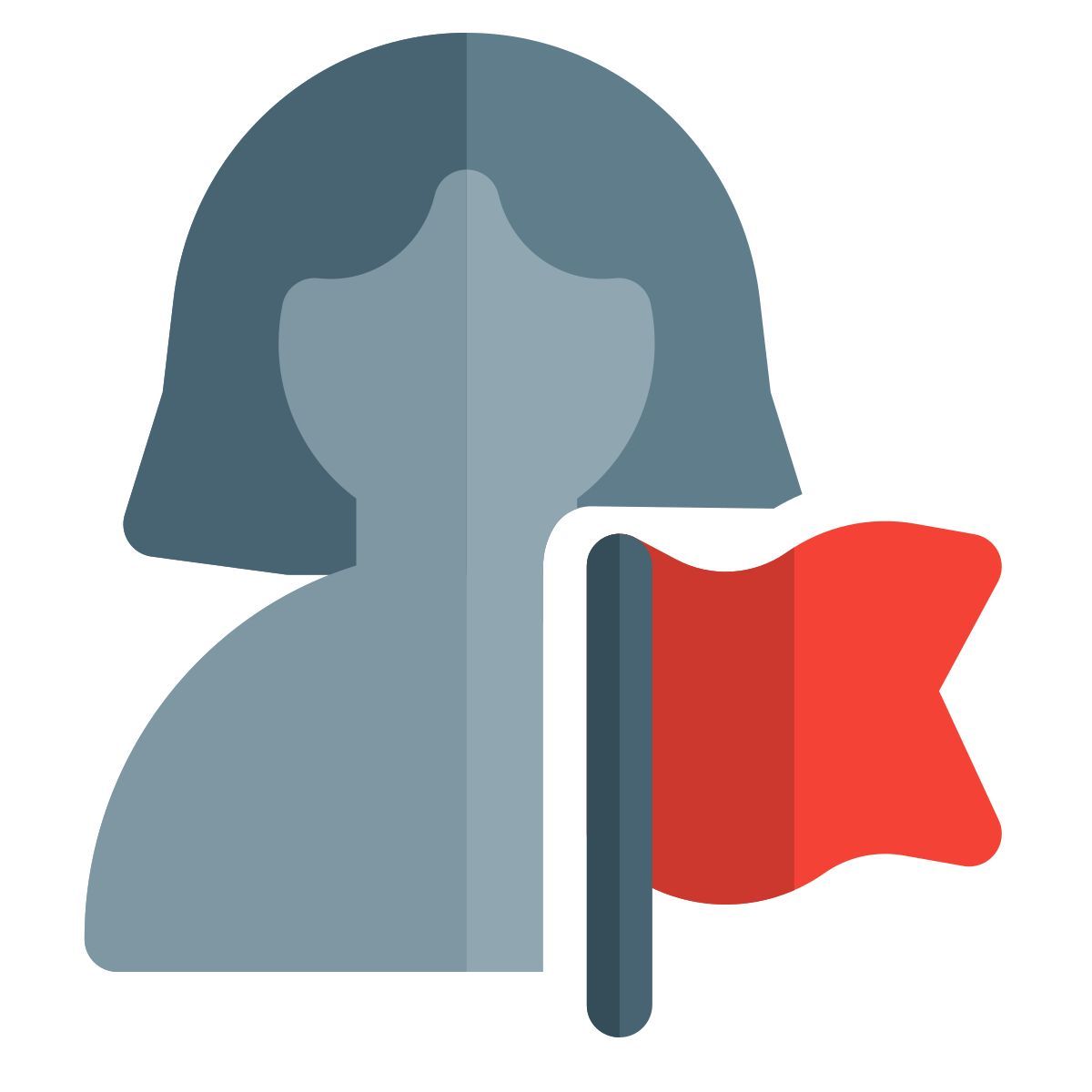 drapeau de l'utilisateur icon