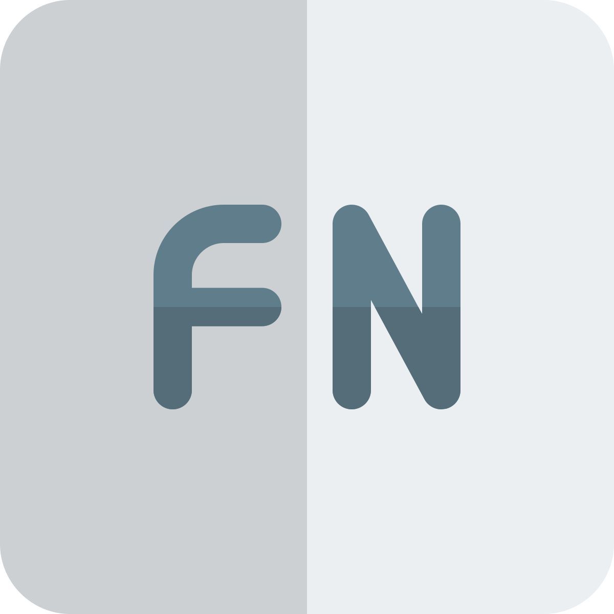 fn taste icon