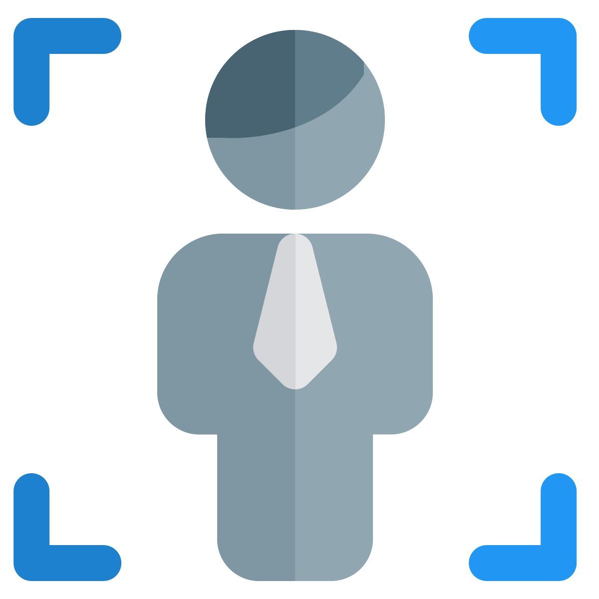 focus function of business handling large enterprises icon