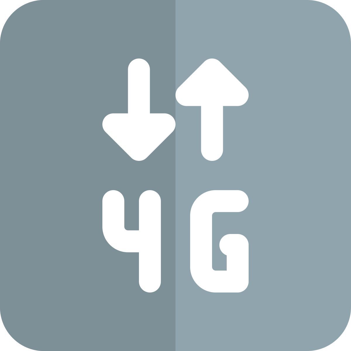 4g icon