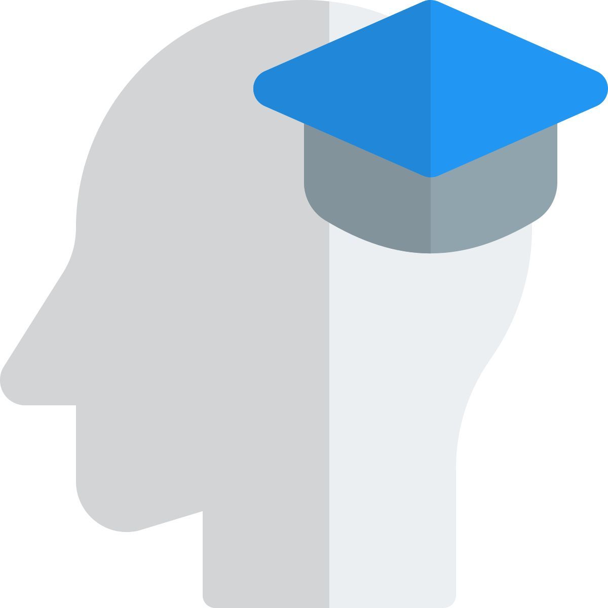 학문적 사고 icon