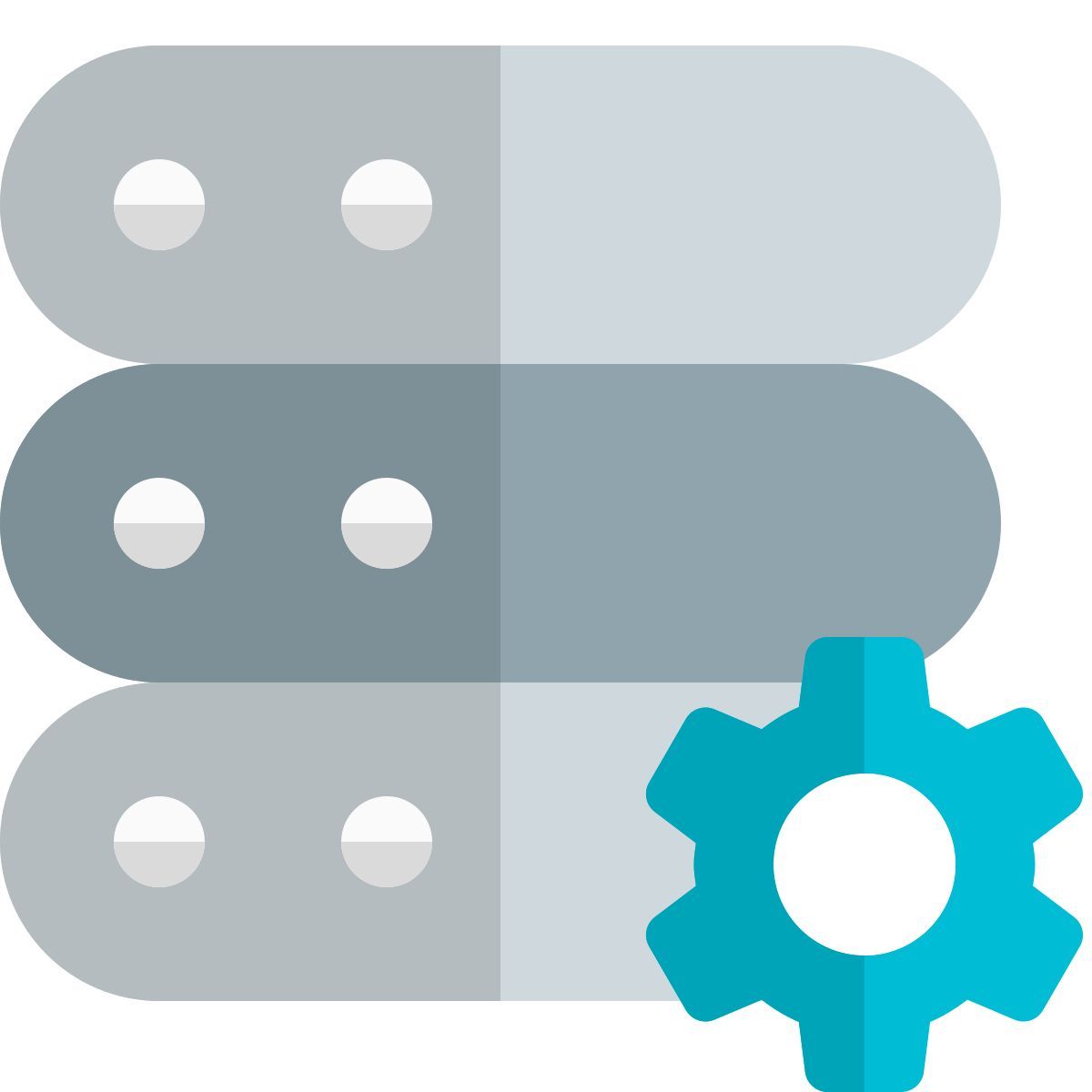 impostazioni del server icon