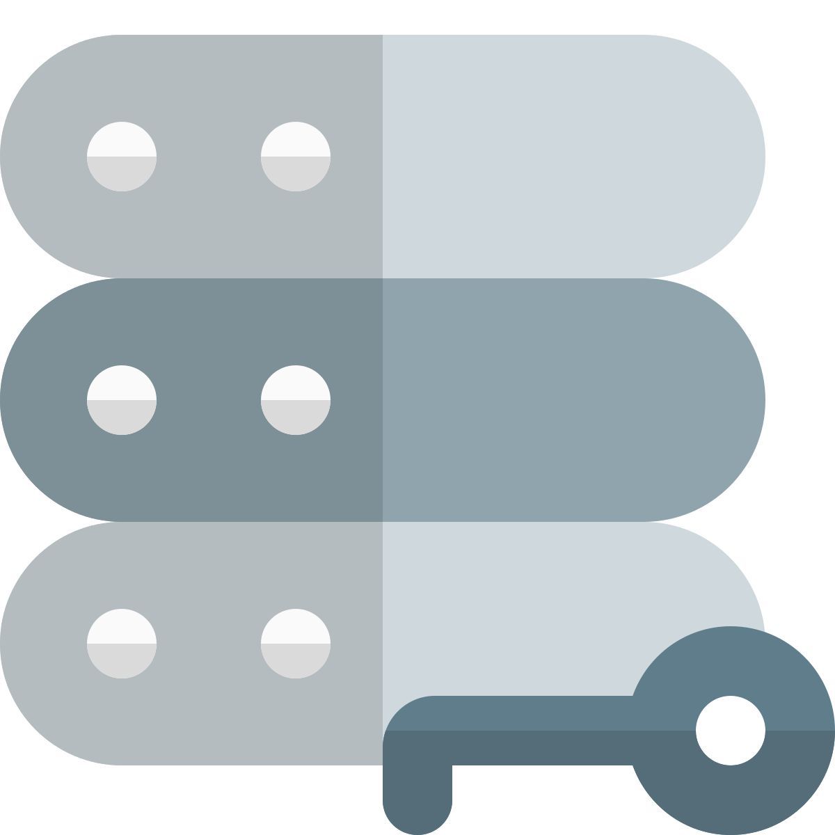 clave del servidor icon