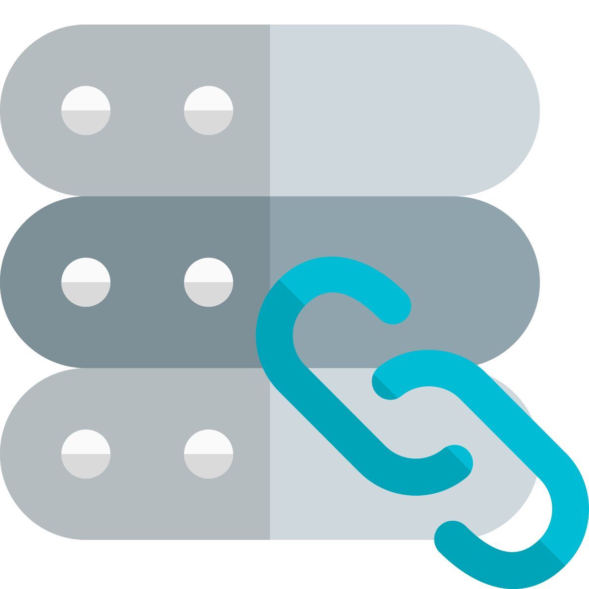 enlace del servidor icon