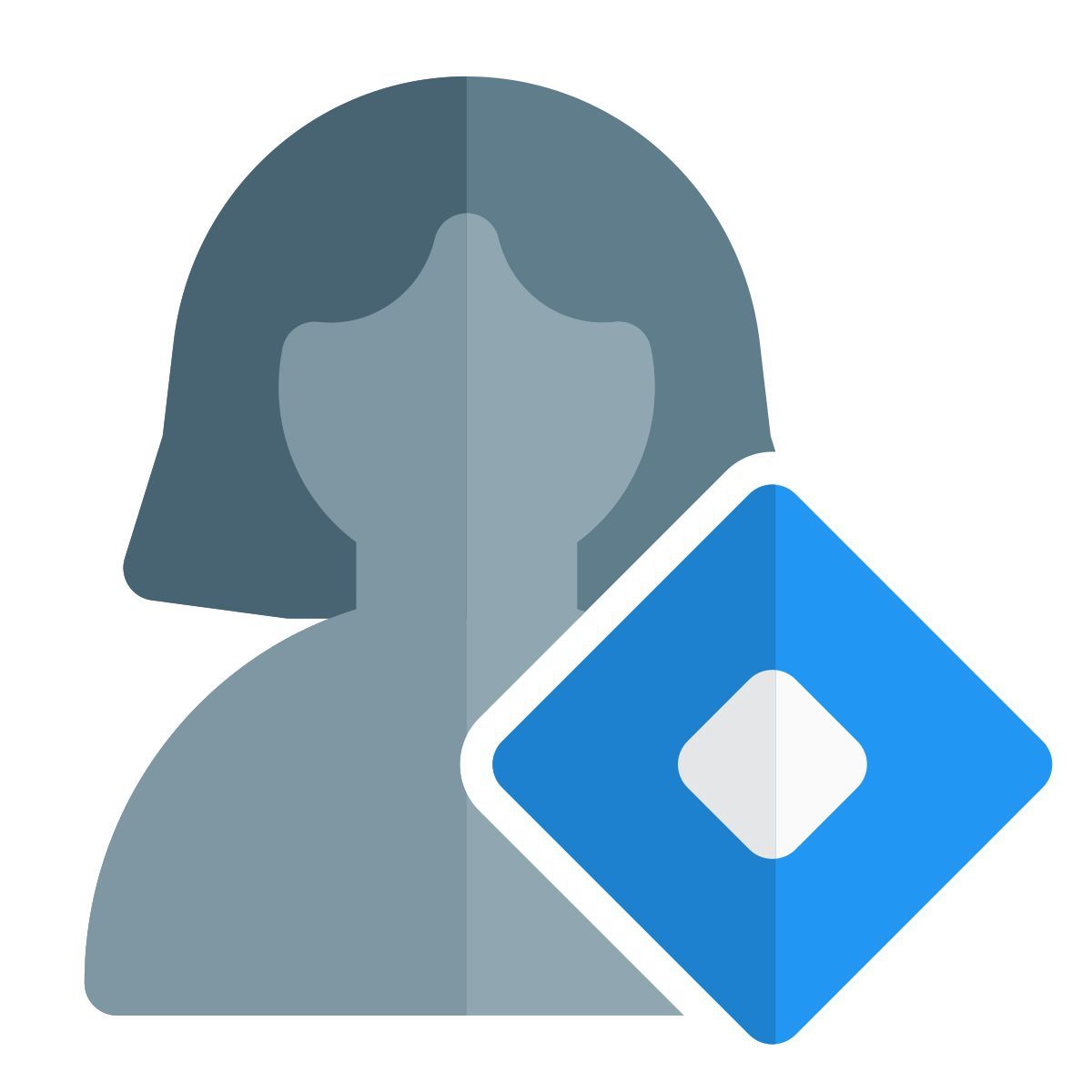 location of the user on the map icon