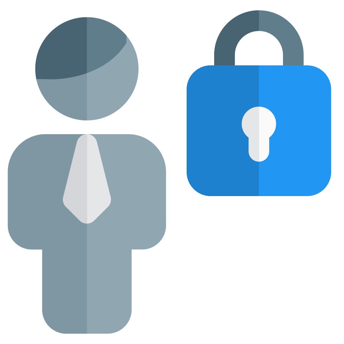 locked screen of corporate portal to access icon