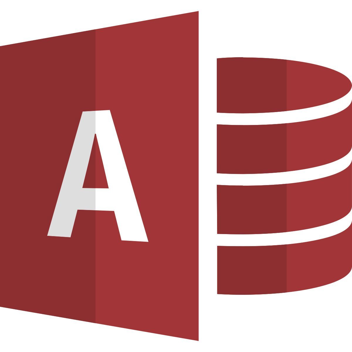 microsoft access icon
