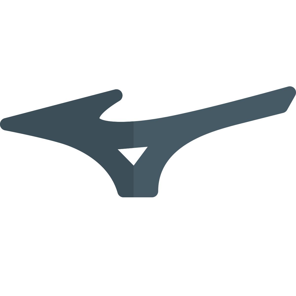 mizuno icon