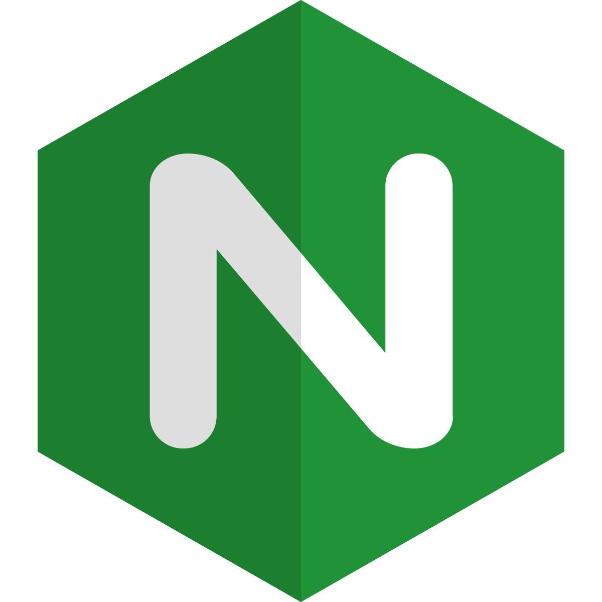 nginx icon