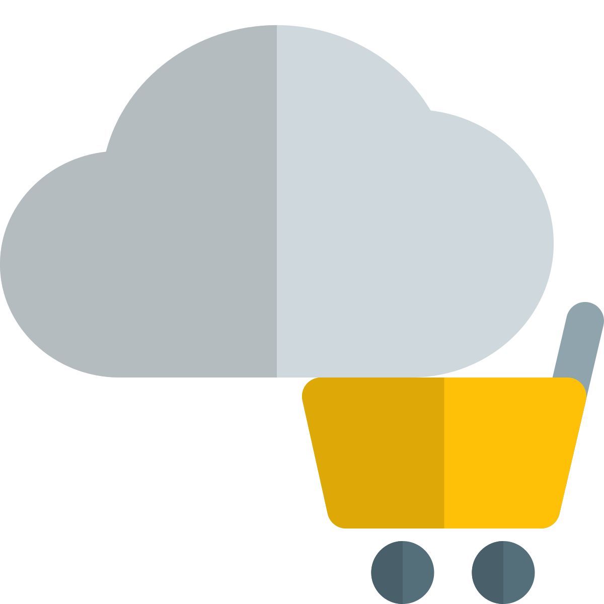 externe en ligne connecté au cloud e commerce shopping site web portal cloud shadow tal revivo icon