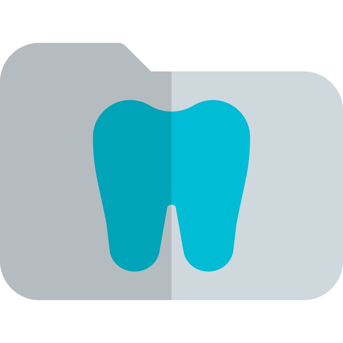 치과 기록 폴더 icon