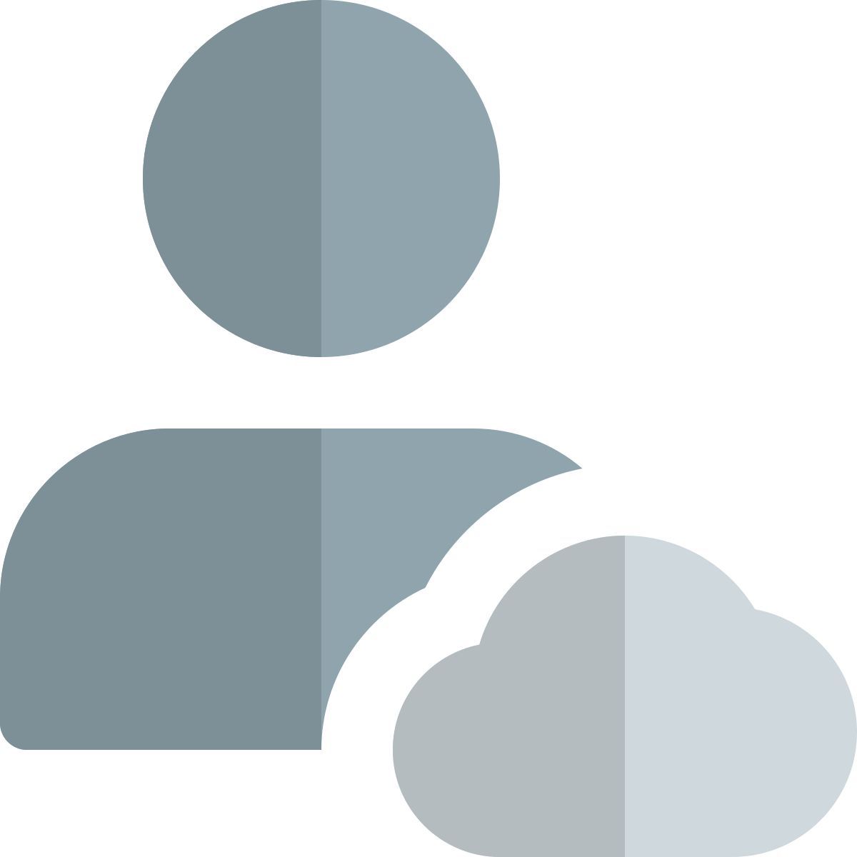 cloud user icon