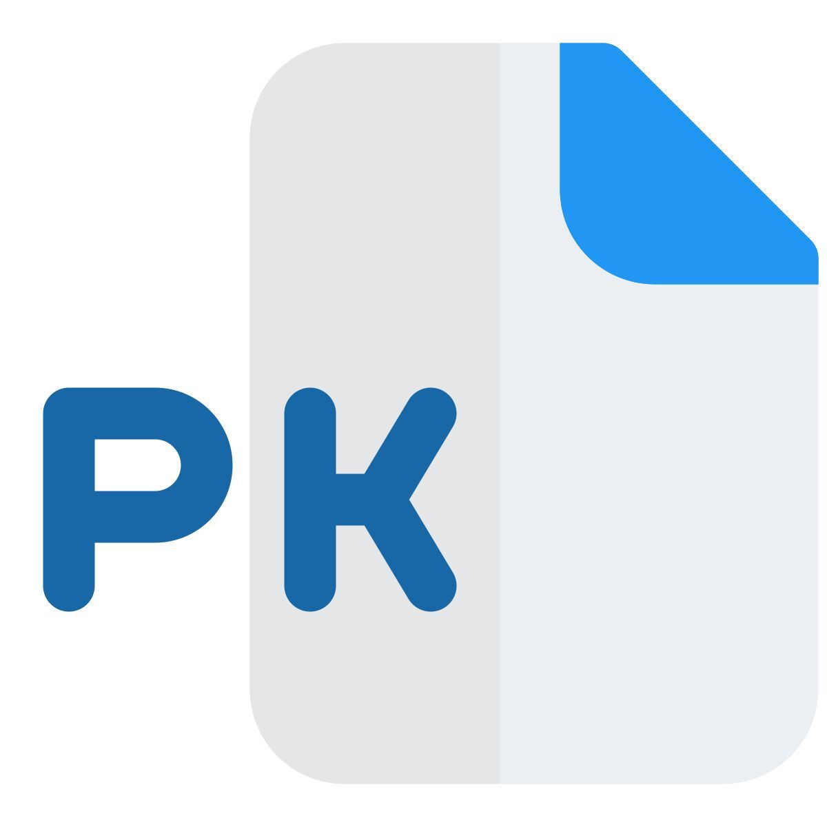 pk 파일 icon