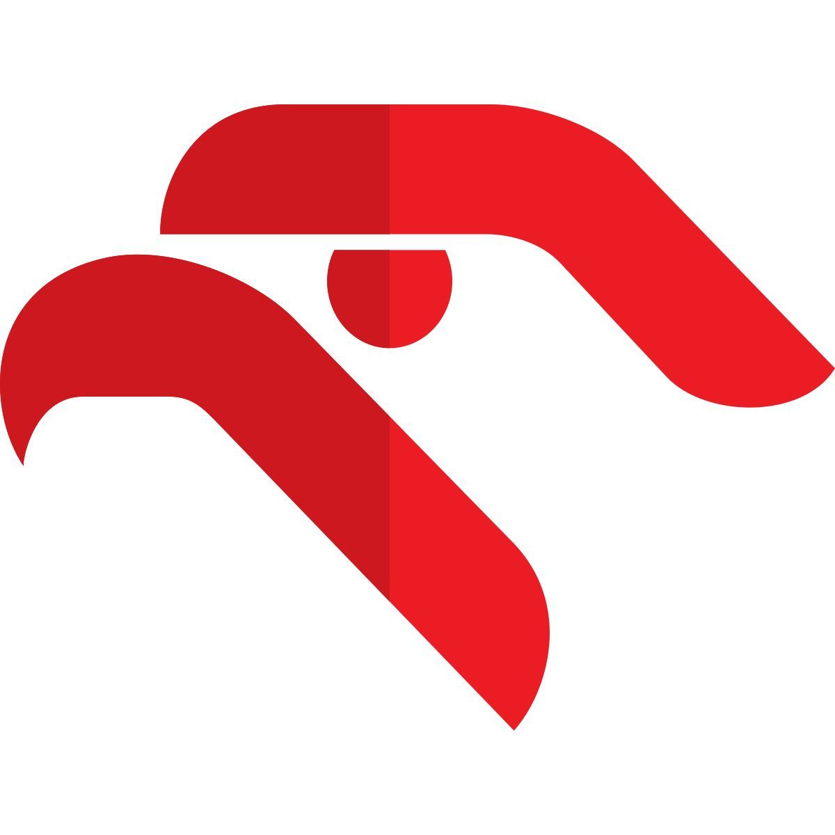 pkn orlen icon