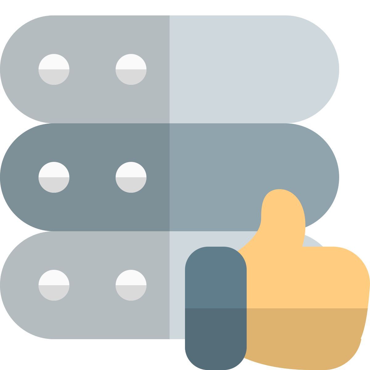 serveur approuvé icon